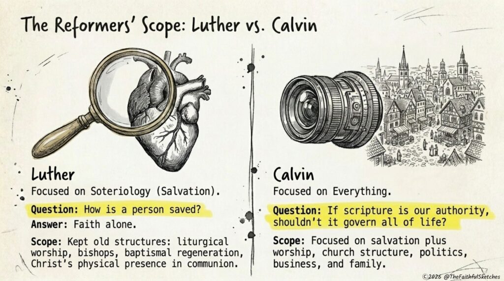 martin luther and john calvin calvinism